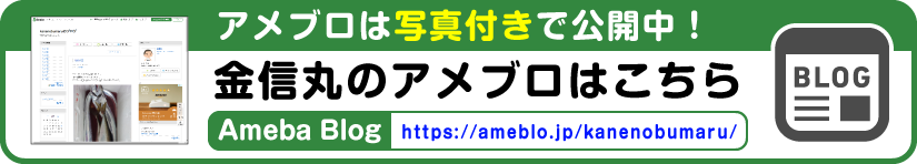 金信丸のアメブロはこちら