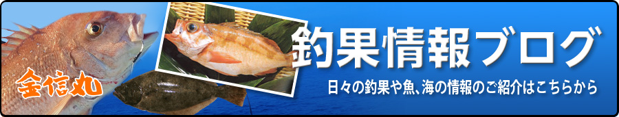 釣果情報ブログ