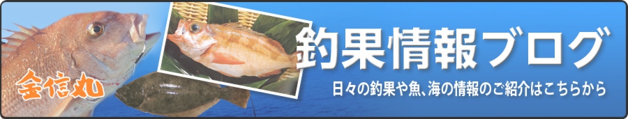 釣果情報ブログ